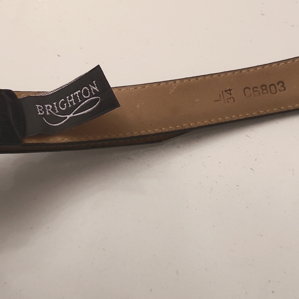 Belt L - Picture 2 of 4